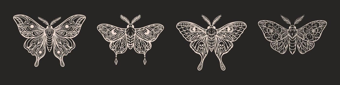 Mystical boho moth set in beige line art on black background vector