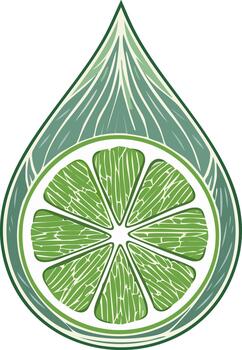 Stylized green lime slice within a liquid drop shape with decorative lines vector