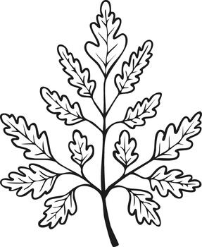 illustration of a simple leaf with dark outlines and sharp edges vector