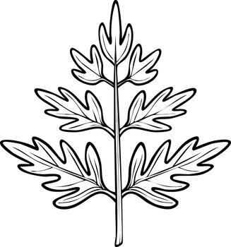 Outline of a botanical fern leaf with delicate serrated edges on a plain background vector