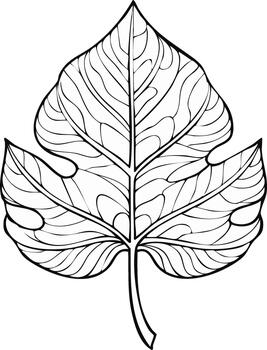 decorativo botánico hoja ilustración con intrincado patrones para colorante libro vector
