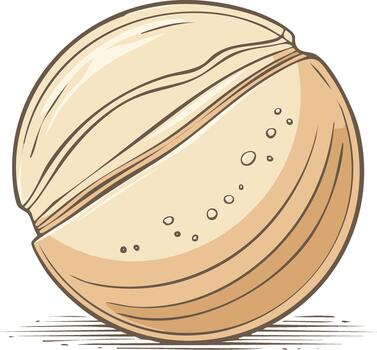 Stylized Illustration of a Round Nut Shell with Decorative Lines and Texture vector