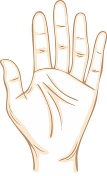 Open hand gesture illustration showing the palm and five fingers for a greeting or stop signal vector