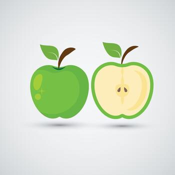 Green apples that are split in half from the white background vector