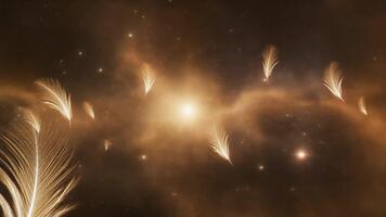 animerad visuell av flytande fjädrar med gnistrande partiklar i eterisk ljus formning en lugna drömmande atmosfär tvärs över en mörk luftig abstrakt Plats video