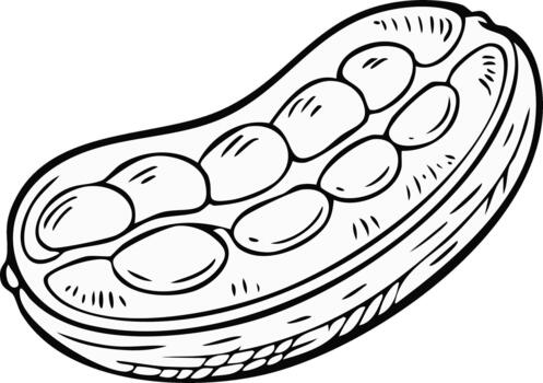 división abierto maní con granos dentro negro y blanco línea Arte dibujo vector
