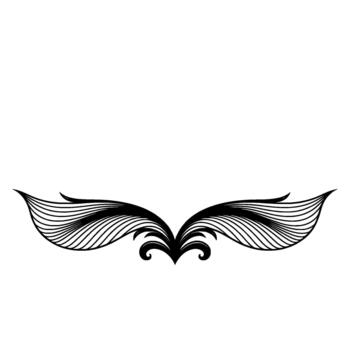 Elegant symmetrical decorative flourish with flowing wispy lines and curled ornamental elements isolated vector