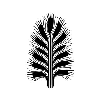 A minimalist illustration of a stylized botanical frond or feather with branching lines and radiating elements vector