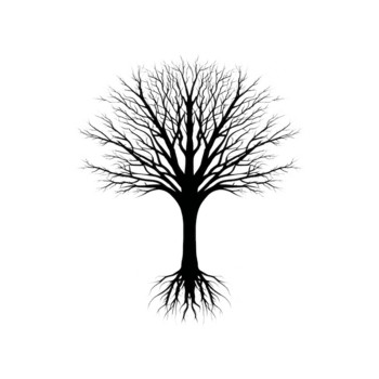 Baum Silhouette mit nackt Geäst und sichtbar Wurzeln, schwarz und Weiß Illustration, isoliert auf transparent Hintergrund, symbolisieren Natur, Wachstum, und Verbindung, hervorrufen Ruhe und Balance png