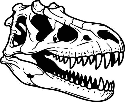 dinosaurio cráneo ilustración representando prehistórico reptil cabeza con abierto mandíbulas y agudo dientes en negro y blanco diseño vector