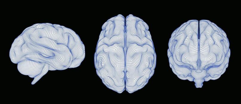 3D wireframe human brain set in blue neon grid lines. Digital artificial intelligence, neurology anatomy, and medical technology concept. Side, top, and front views isolated on black background. vector