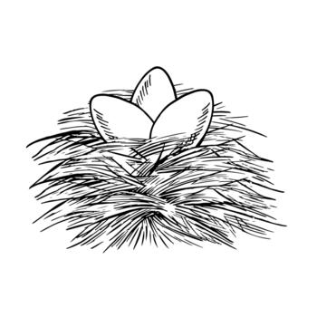 un nido con pollo huevos. negro y blanco ilustración dibujado por mano. Tres marrón huevos en un Paja nido. el concepto de aves de corral agricultura. un diseño elemento para pancartas, etiquetas, embalaje, y más vector