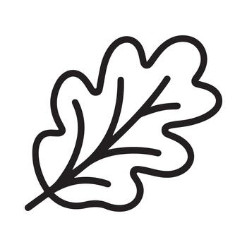 Minimalist black outline of a single oak tree leaf on white background vector