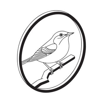 minimalista negro y blanco contorno dibujo de un pequeño pájaro encaramado en un rama dentro un circular marco vector