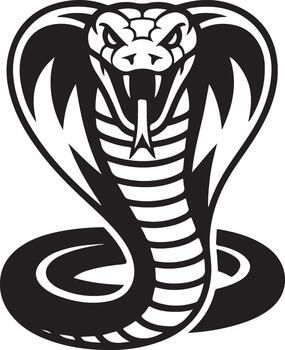 King cobra snake in striking pose with hood spread showing danger and powerful strength vector