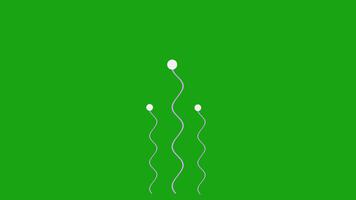 Continuous minimal motion graphics, Line art waves animation, curve line zigzag retro, hand drawn line animation on transparent green screen background video