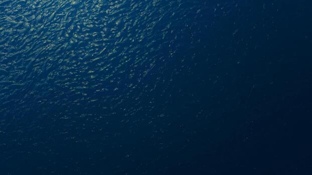 Captivating deep blue water texture with subtle ripples and shimmering light creating an abstract and tranquil aquatic surface, perfect for backgrounds and immersive visuals for design projects photo