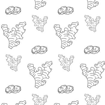 jengibre raíz y rebanadas modelo en blanco fondo, ideal para embalaje y culinario diseño proyectos vector