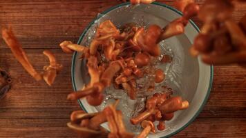 honung svamp falla in i en skål med stänk. filmad på en hög hastighet kamera på 1000 fps. hög kvalitet full HD antal fot video