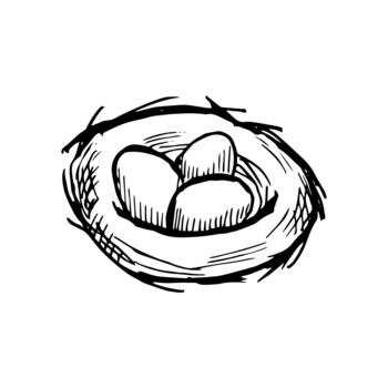 dibujado a mano tinta ilustración de pájaro nido con Tres huevos, detallado eclosión y sombreado. minimalista natural bosquejo, guardería, bebé, fauna silvestre, o primavera tema en blanco antecedentes. vector