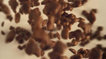 Hund Essen fliegt oben und runter. gefilmt auf ein schnelle Geschwindigkeit Kamera beim 1000 fps. hoch Qualität fullhd Aufnahmen video