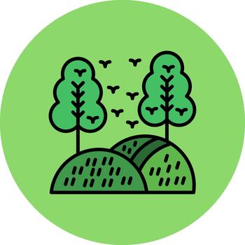 Hill Soft Curve Feature vector