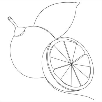 Continuous line drawing of fresh lemon and slice vector