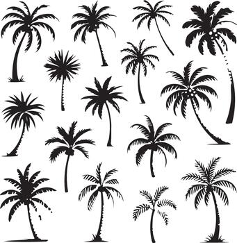 Set of Diverse Palm Tree Silhouettes for Design Use vector