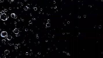 vatten droppar på en svart bakgrund skapande en fascinerande och abstrakt visuell effekt. video