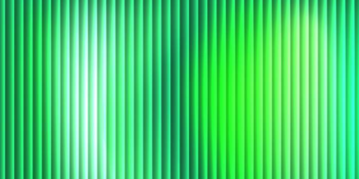 verde vertical degradado raya resumen antecedentes vector