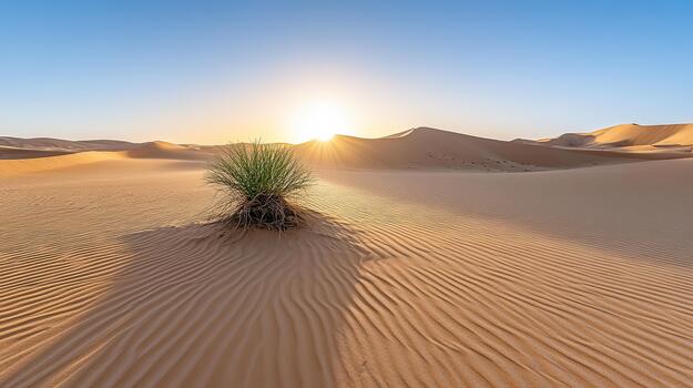 Sunrise desert dune with solitary grass tuft casting long shadow in warm light photo