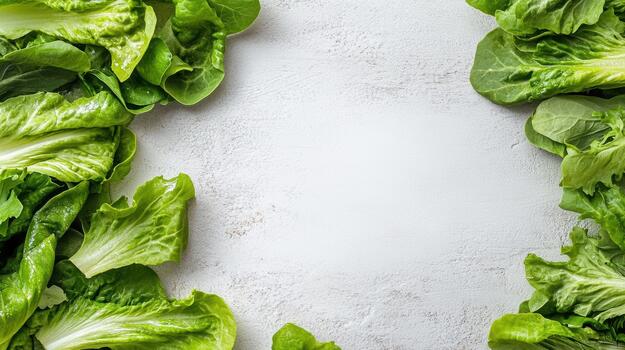 Lettuce leaves arranged in a circle on a white background photo