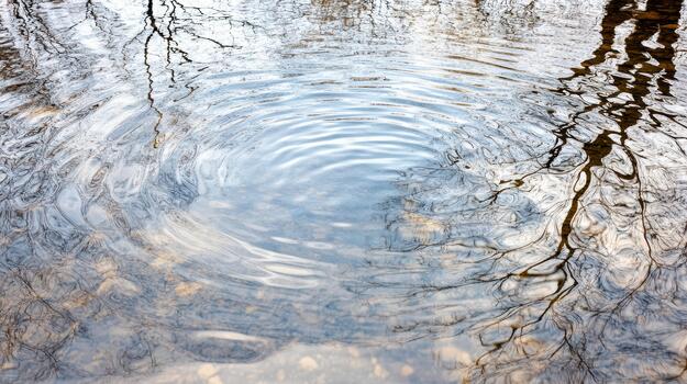 Calm water ripples reflecting bare tree branches in soft light photo