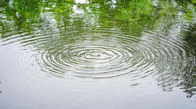 ondas agua reflexión verde arboles calma estanque después lluvia tranquilo concéntrico modelo foto