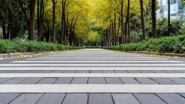 Quiet boulevard with lined trees and fallen leaves evoking calm perspective photo