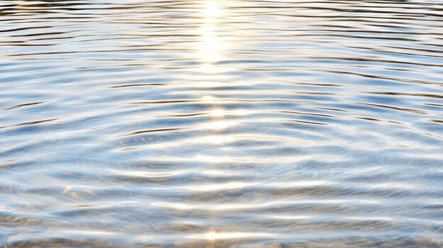 Sunlight ripple water reflection calm surface golden glow photo