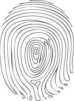 Fingerprint Pattern Identification, Security, Forensic, Unique Human Print vector