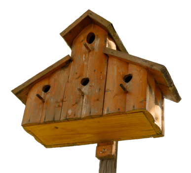 A wooden birdhouse is placed on a sturdy post, designed with several openings for birds to enter and nest. This structure adds charm to a garden space during the day png