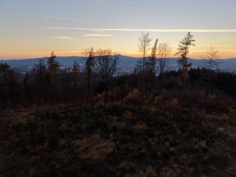 tree silhouettes dawn, ethereal image of shadowed trees at daybreak beneath serene pastelcolored sky photo