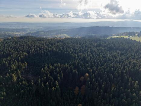 heightened outlook of sunlit woods, scenic elevated view capturing glowing trees within misty clouds photo