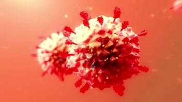 mikroskopisk se av röd virus partiklar flytande i en vätska medium. video