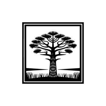 A striking minimalist silhouette of a mature Araucaria tree with its distinctive spiky foliage and textured trunk set within a decorative border above stylized grass and a horizon line vector