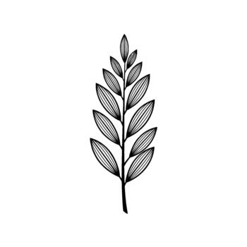 A minimalist ink illustration of a delicate botanical branch with multiple elongated oval leaves featuring fine parallel line details isolated vector