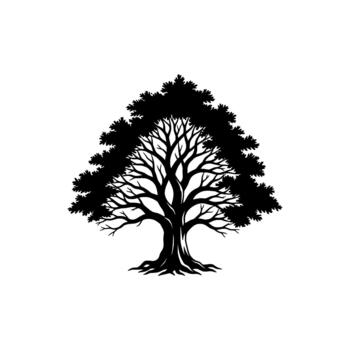 A striking silhouette of an ancient sprawling deciduous tree with intricate branch patterns and a full canopy vector