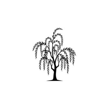 un rígido silueta de un llanto sauce árbol con cascada ramas y delicado hojas vector