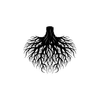 A stark silhouette of a tree stump with its intricate root system spreading outwards in a circular pattern vector