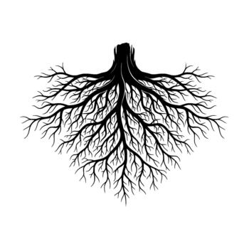 un rígido silueta de un complejo entretejido raíz sistema con intrincado derivación patrones originario desde un central tocón vector