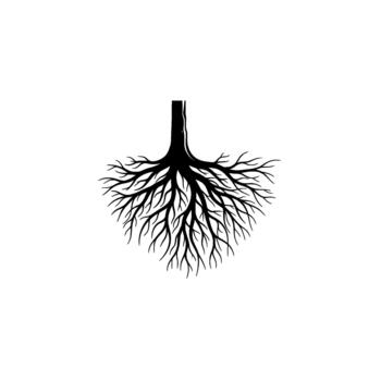 A detailed silhouette of an intricate tree root system spread out below a thick trunk segment isolated vector