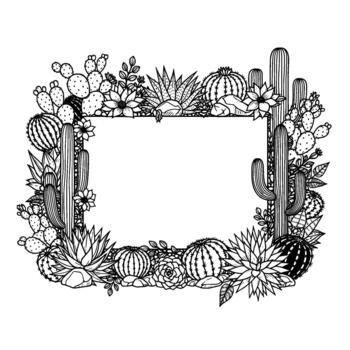 un detallado mano dibujado ilustración de un rectangular marco creado con un surtido de Desierto suculentas y cactus adornado con delicado flores y rocas vector