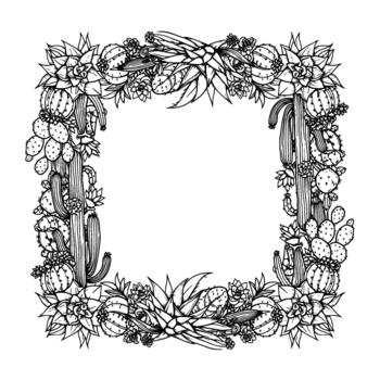 Detailed line art frame composed of various desert succulent plants and cacti including agave and prickly pear arranged in a decorative square border vector